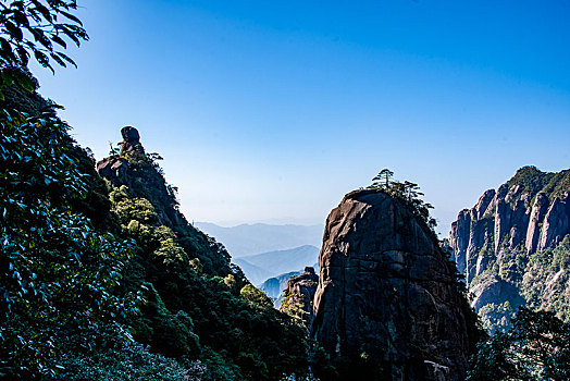 怎么在淘宝上买迷F3381681-338168